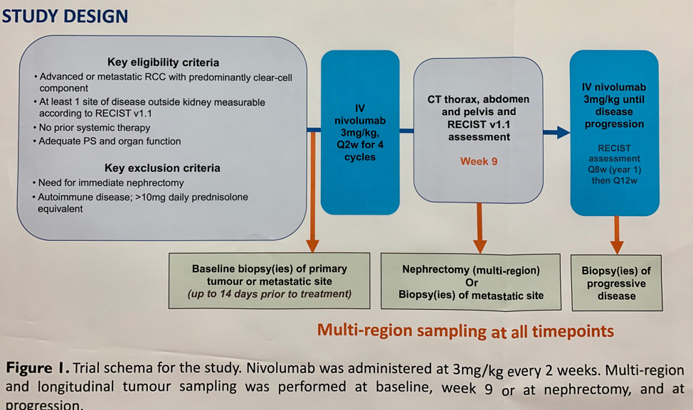 ESMO2019 ADAPTeR StudyDesign