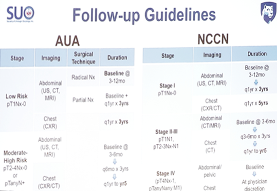 SUO19localized_kidneycancer_1.png